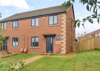 1347454-4-68b6fb3eb6a6a