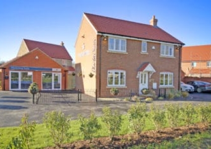 mg1773mg1775dp_dp_1435916-350x231